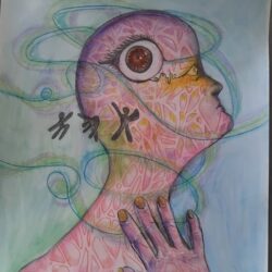 Raye D Schmucker