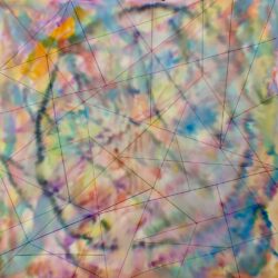 Debbie Fasenmyer